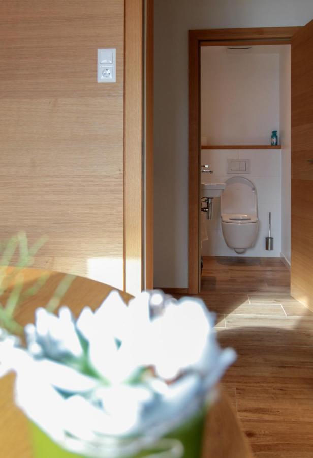 Haus Harmony Villa Ramsau am Dachstein Kültér fotó